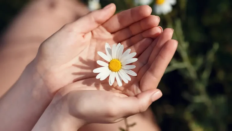 Female hands holding a daisy representing transformation and joy after receiving effective therapy in Cincinnati Ohio